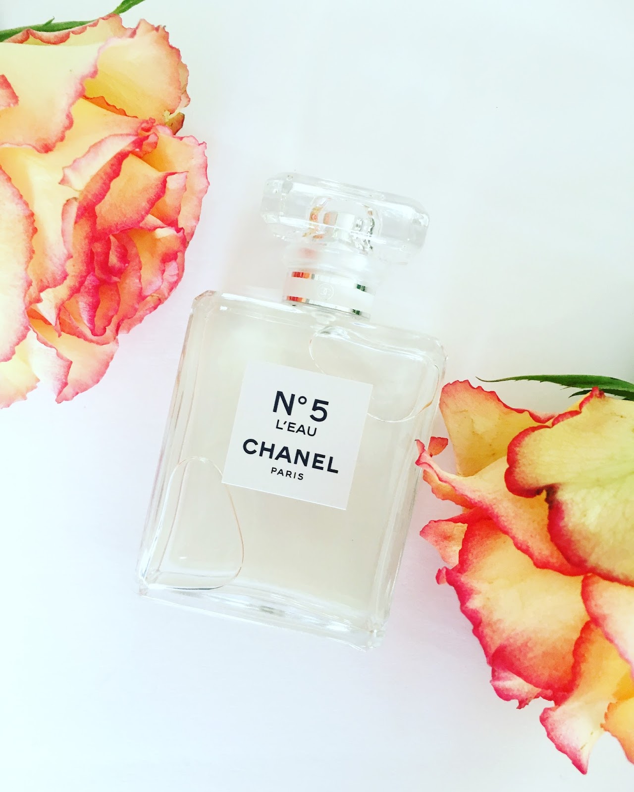 Chanel Paris No. 5 Perfume on Shop Display, Chanel No Editorial