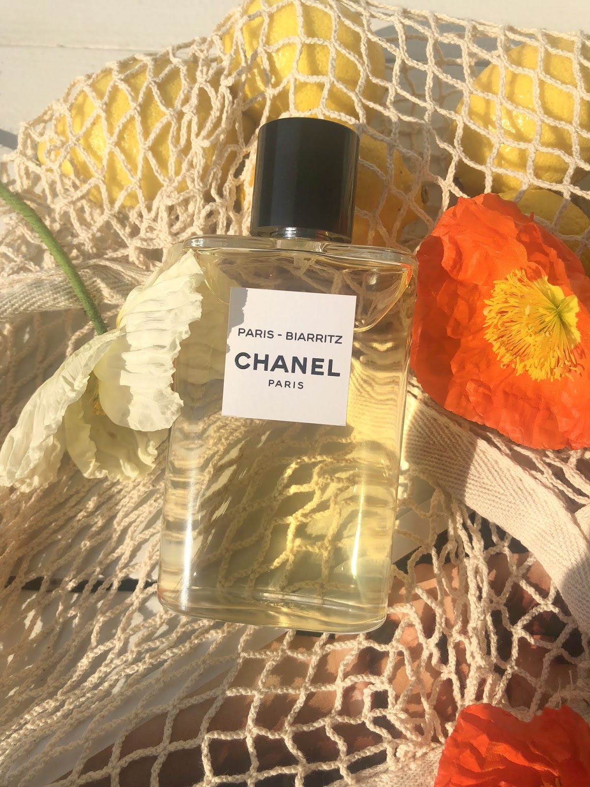 CHANEL TRAVEL DIARY COLLECTION  REVIEW - Kiss Blush & Tell