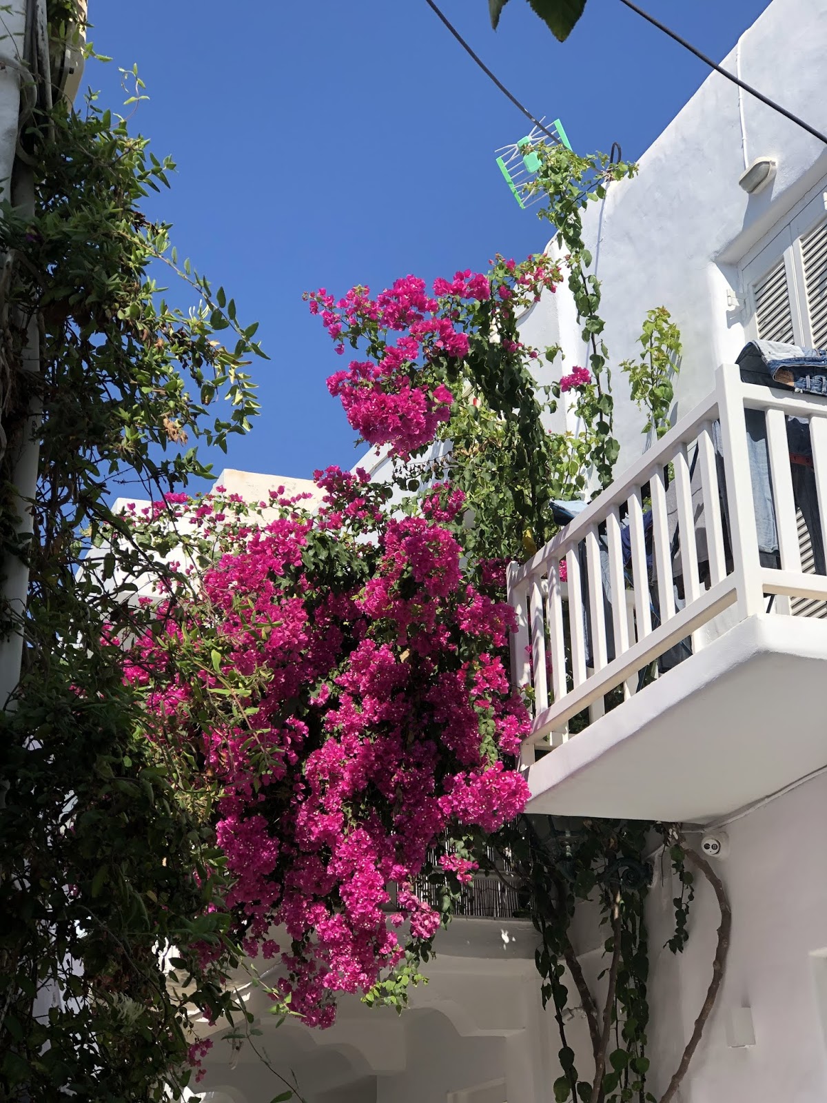 Travel Guide: Greece (Milos, Paros, Santorini & Athens) - Kiss Blush ...